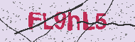 Captcha認証コード